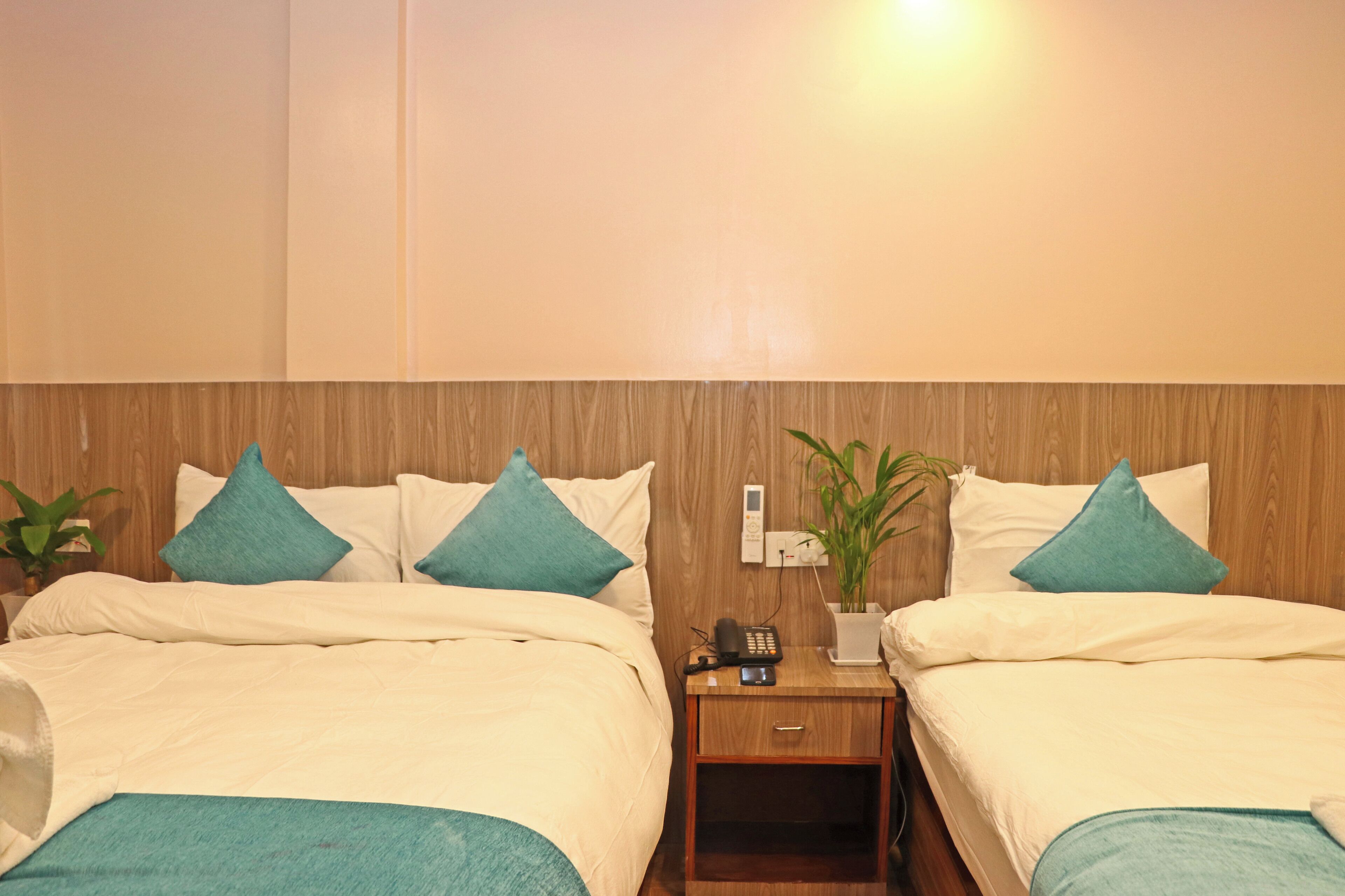 A hotel room with two beds, each with a white comforter and teal pillows. There is a wooden nightstand with a phone and a small potted plant.