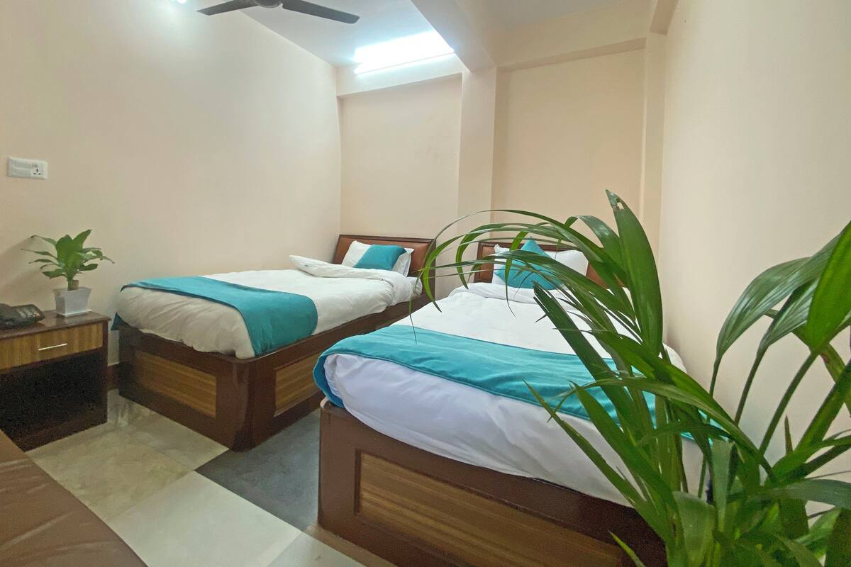 A bedroom with two single beds, a ceiling fan, a nightstand with a lamp and a plant, and a large potted plant in the corner.