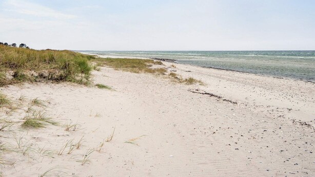 A sandy beach with sparse vegetation and a calm sea. - 4 Person Holiday Home in Glesborg (Glesborg)