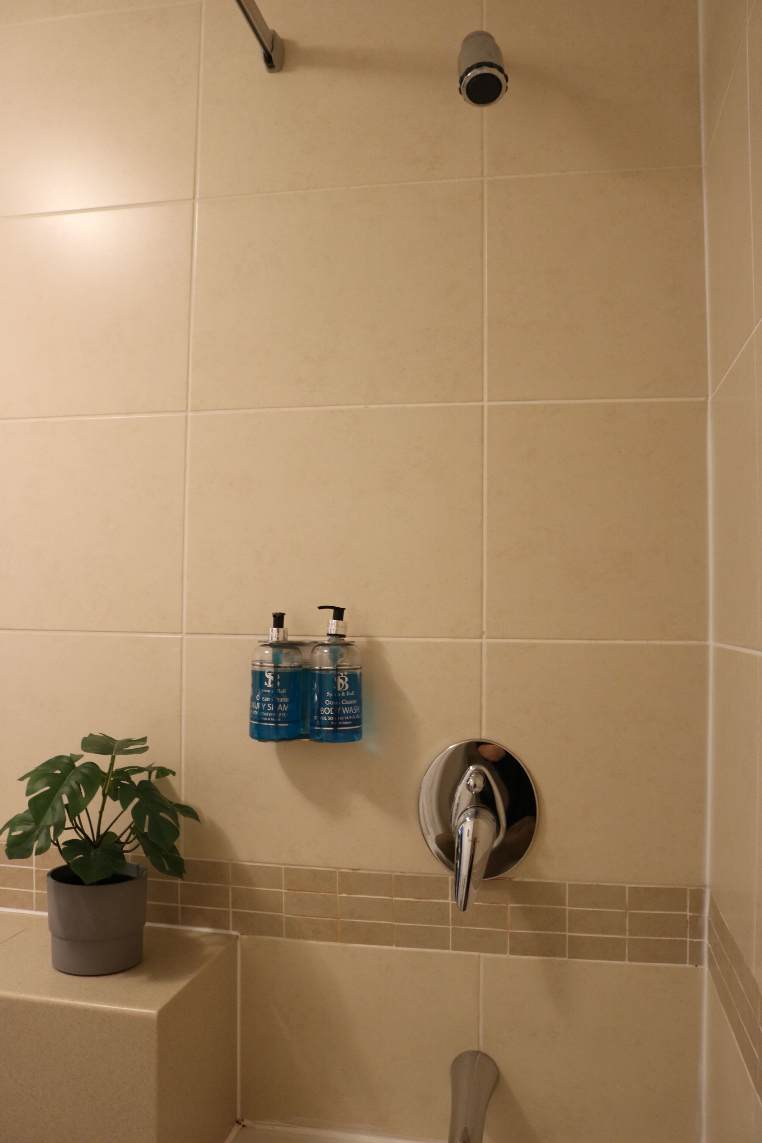 A bathroom with beige tiles, a showerhead, a potted plant, and two bottles of hand soap.