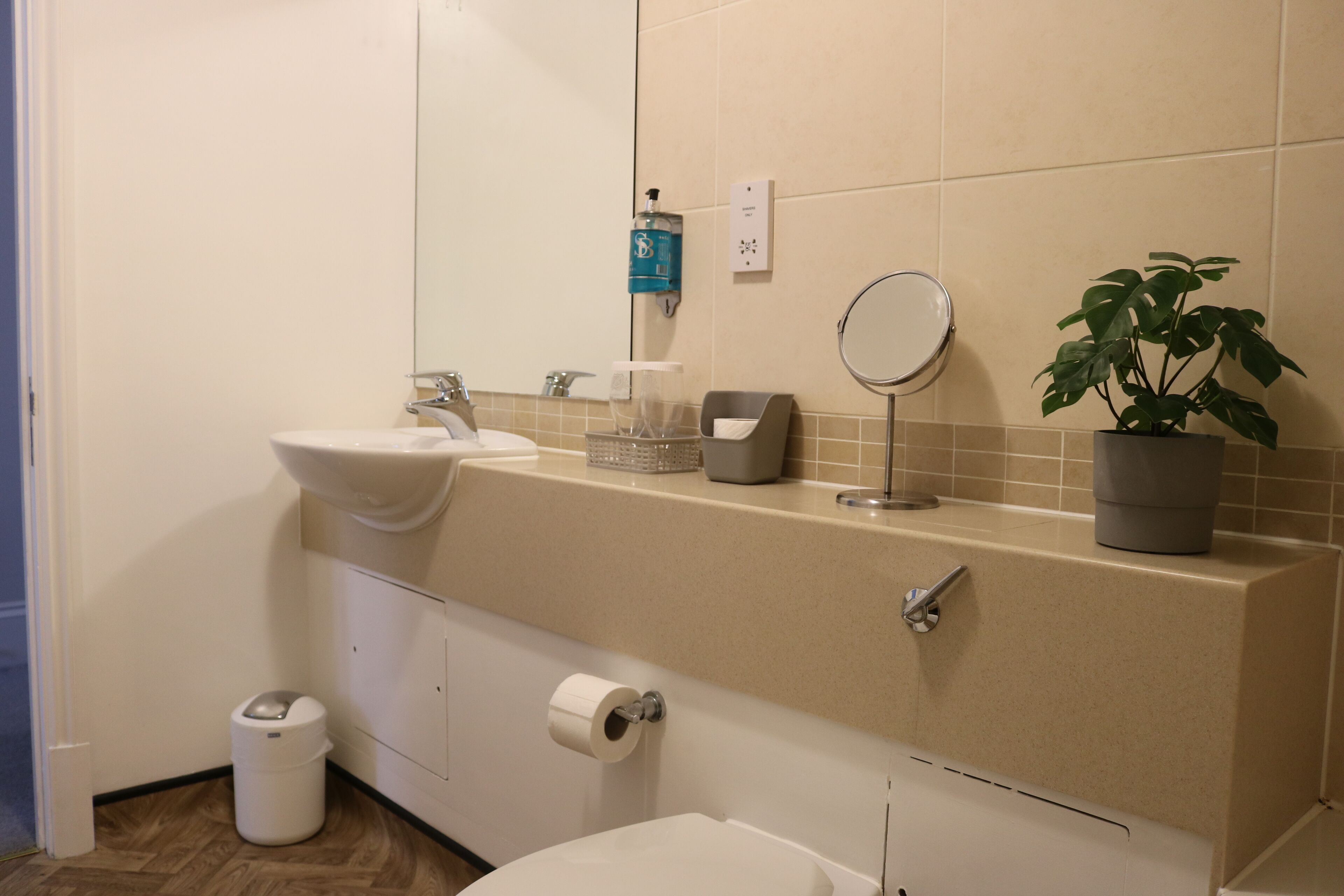 A bathroom with a sink, mirror, toilet, and a potted plant.