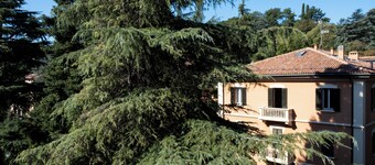 DiMondi House - Your home enclosed by the hills and the porch of St. Luke's