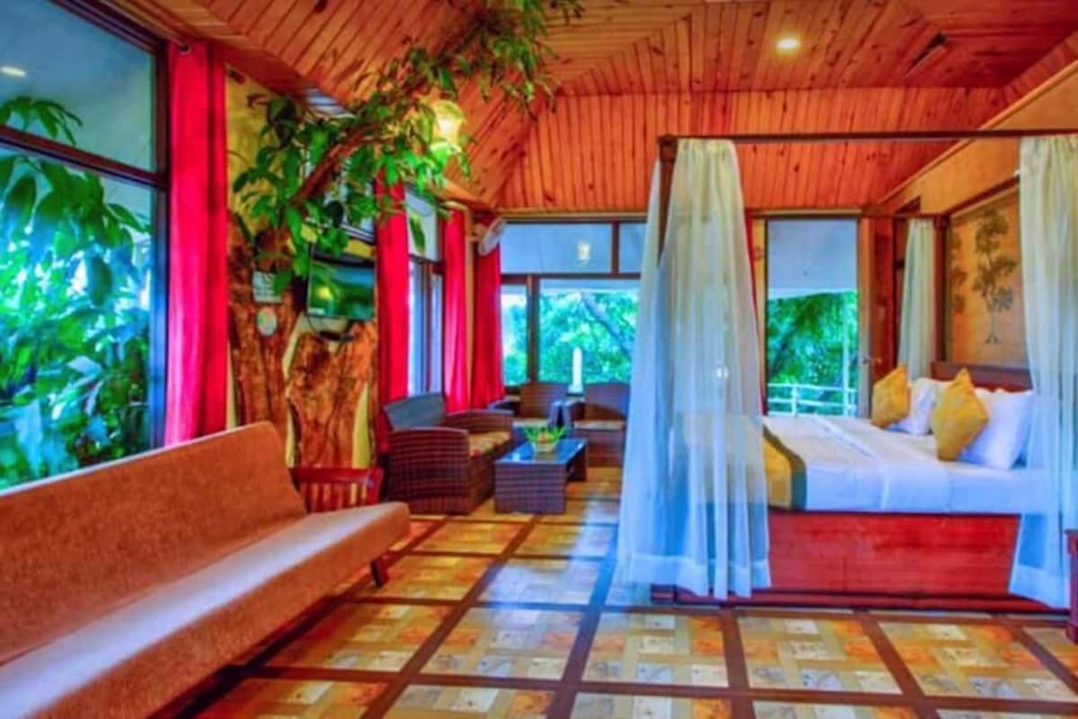 A bedroom with a canopy bed, a sofa, and a view of greenery outside.
