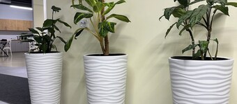 โฮสเทล โอ2