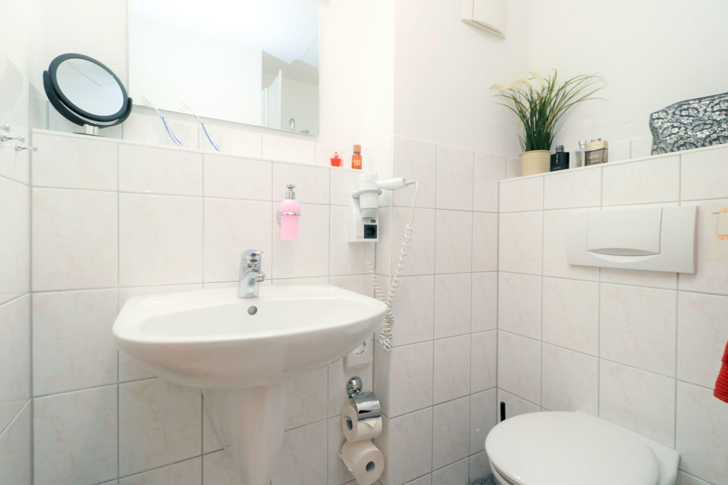 A bathroom with a sink, toilet, and a mirror.