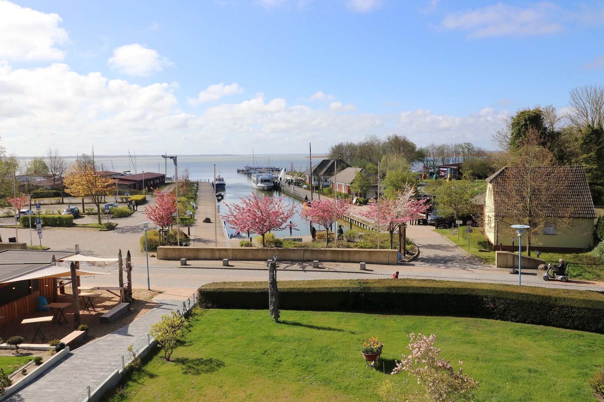 A waterfront property with a dock, a grassy area with a bench, and a pathway leading to a building.