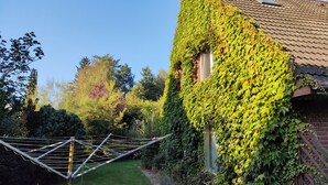 A house with a brick exterior partially covered by green ivy. - Sterne Luxus Heidesonne (Jesteburg)
