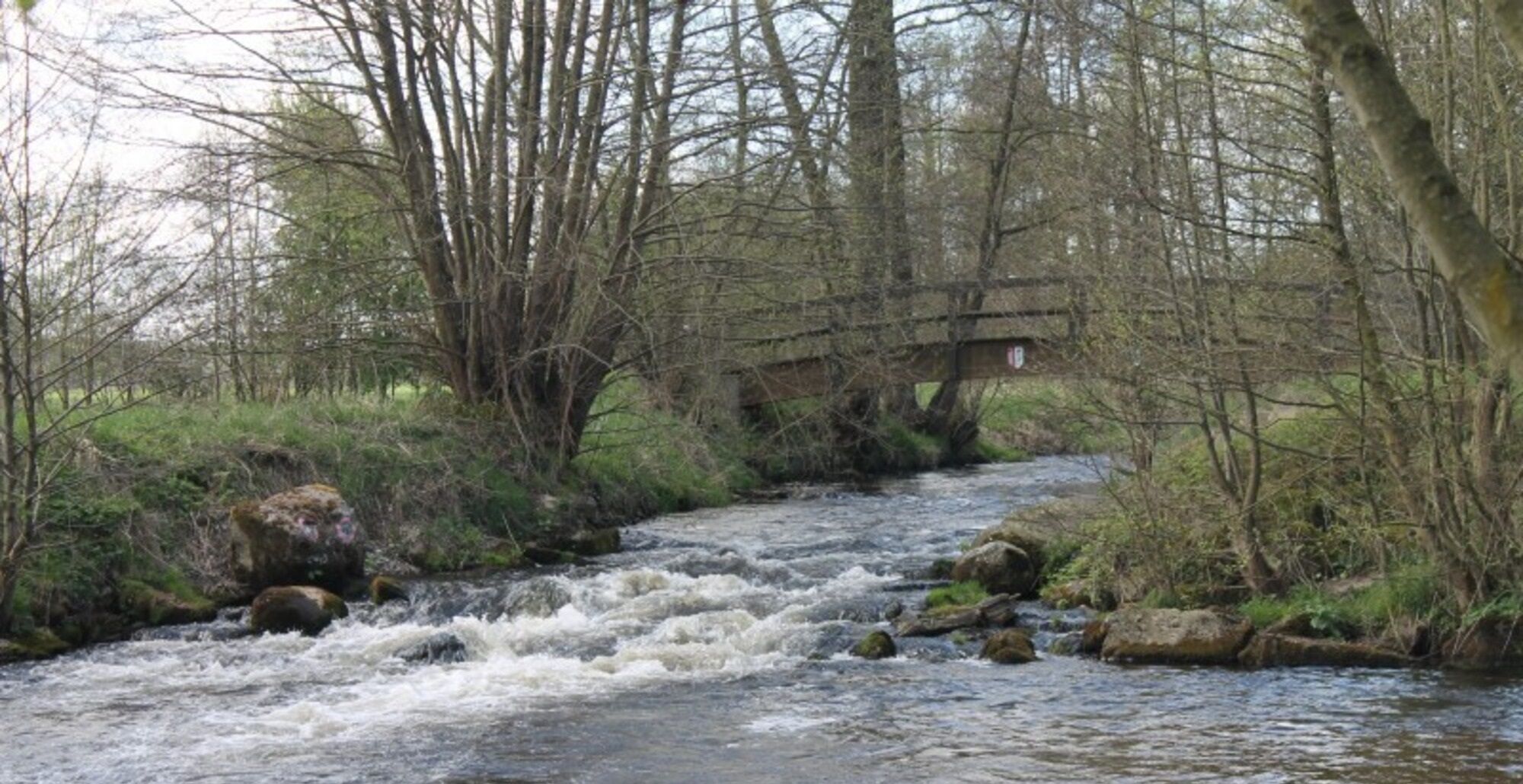 Ein Fluss fließt unter einer Brücke, umgeben von Bäumen.
