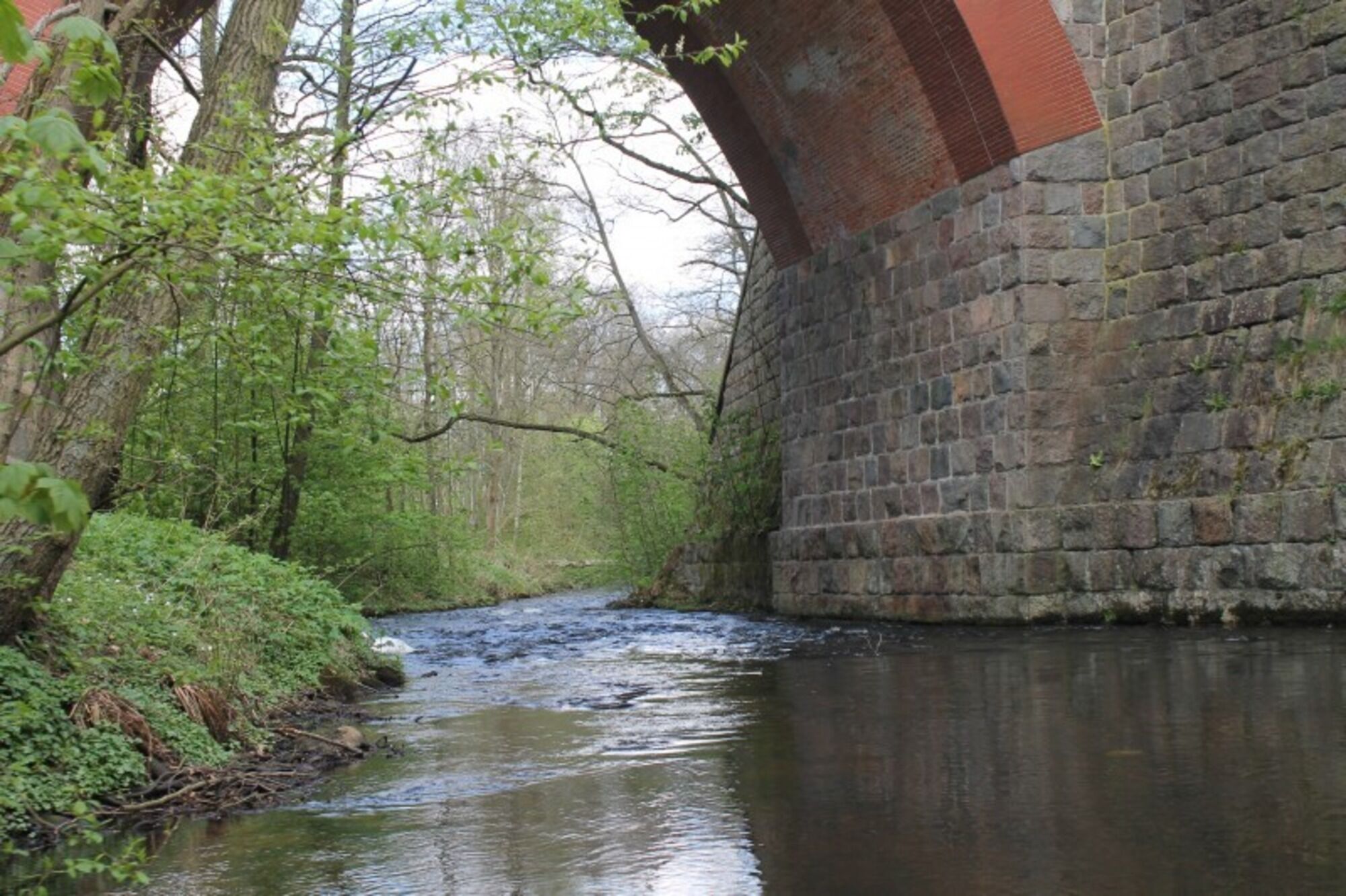 Een rivier onder een stenen brug, met begroeiing aan beide oevers.