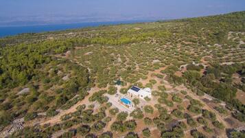 An aerial view of a property with a house surrounded by dense vegetation and a clear view of the sea.