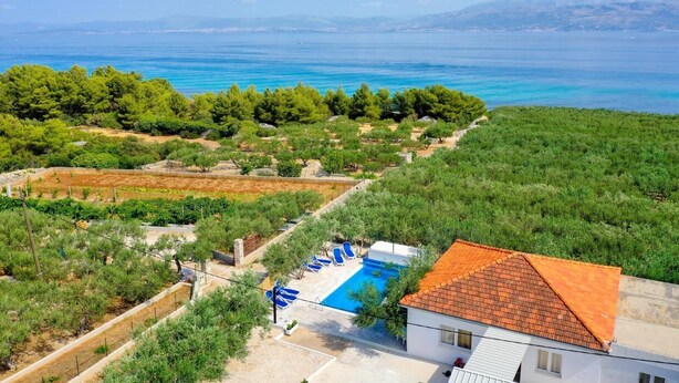 A villa with a swimming pool, surrounded by lush greenery and a view of the sea. - Holiday Home Malačnica (Supetar)