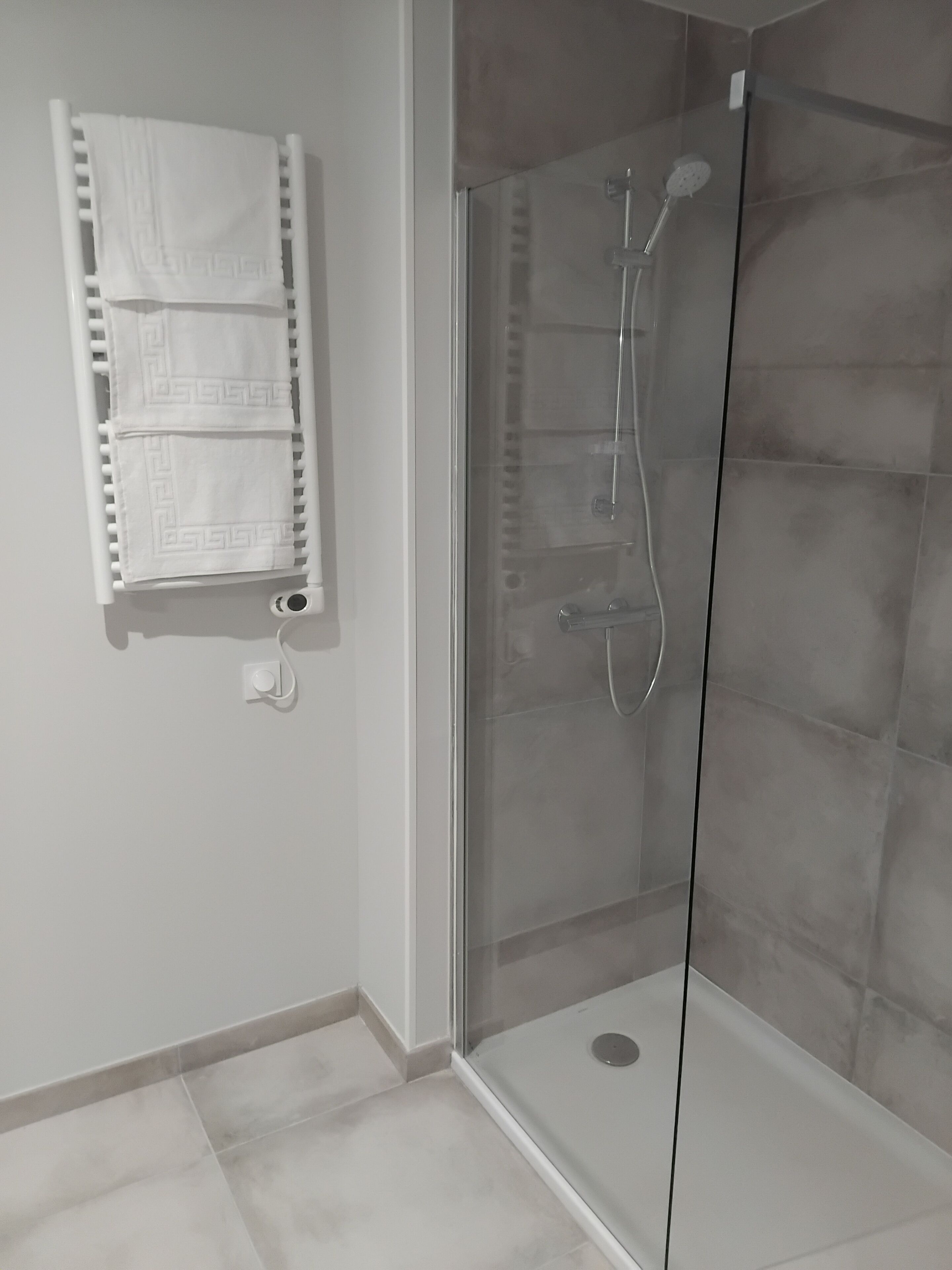 Chuveiro com porta de vidro e porta-toalhas com duas toalhas.