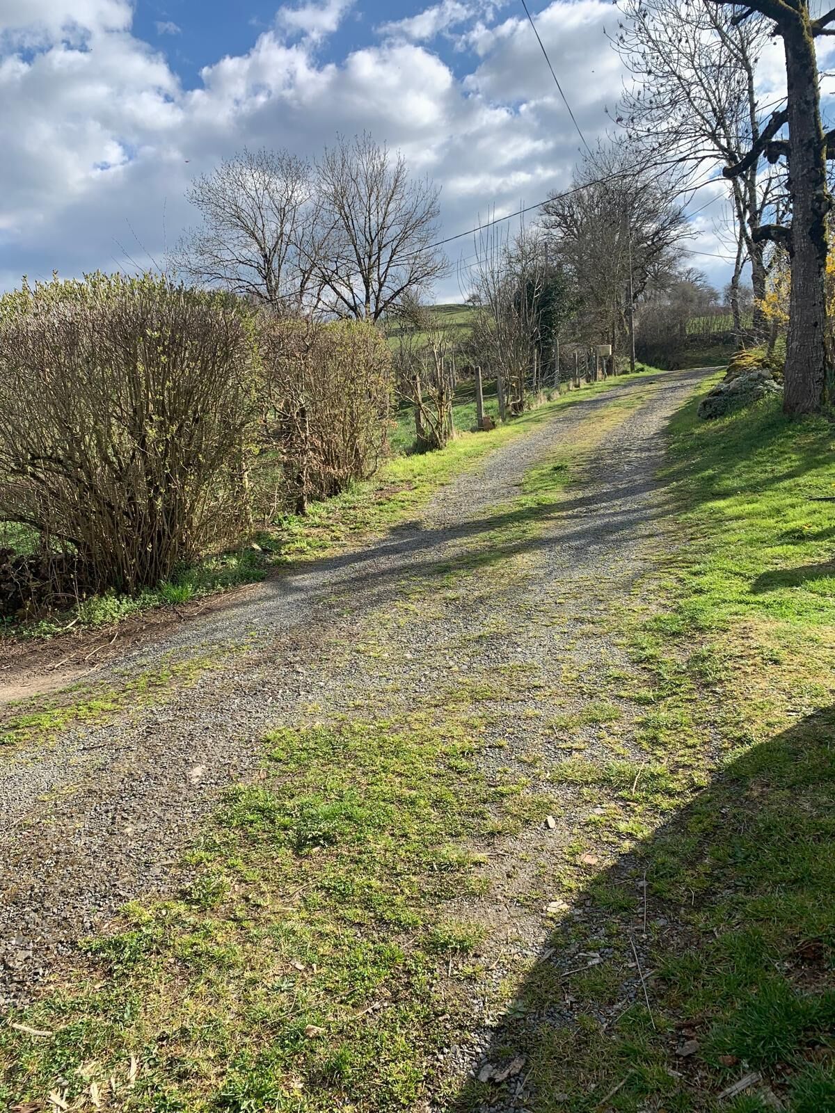 A rural road with gravel and grass on the sides, surrounded by trees and bushes.