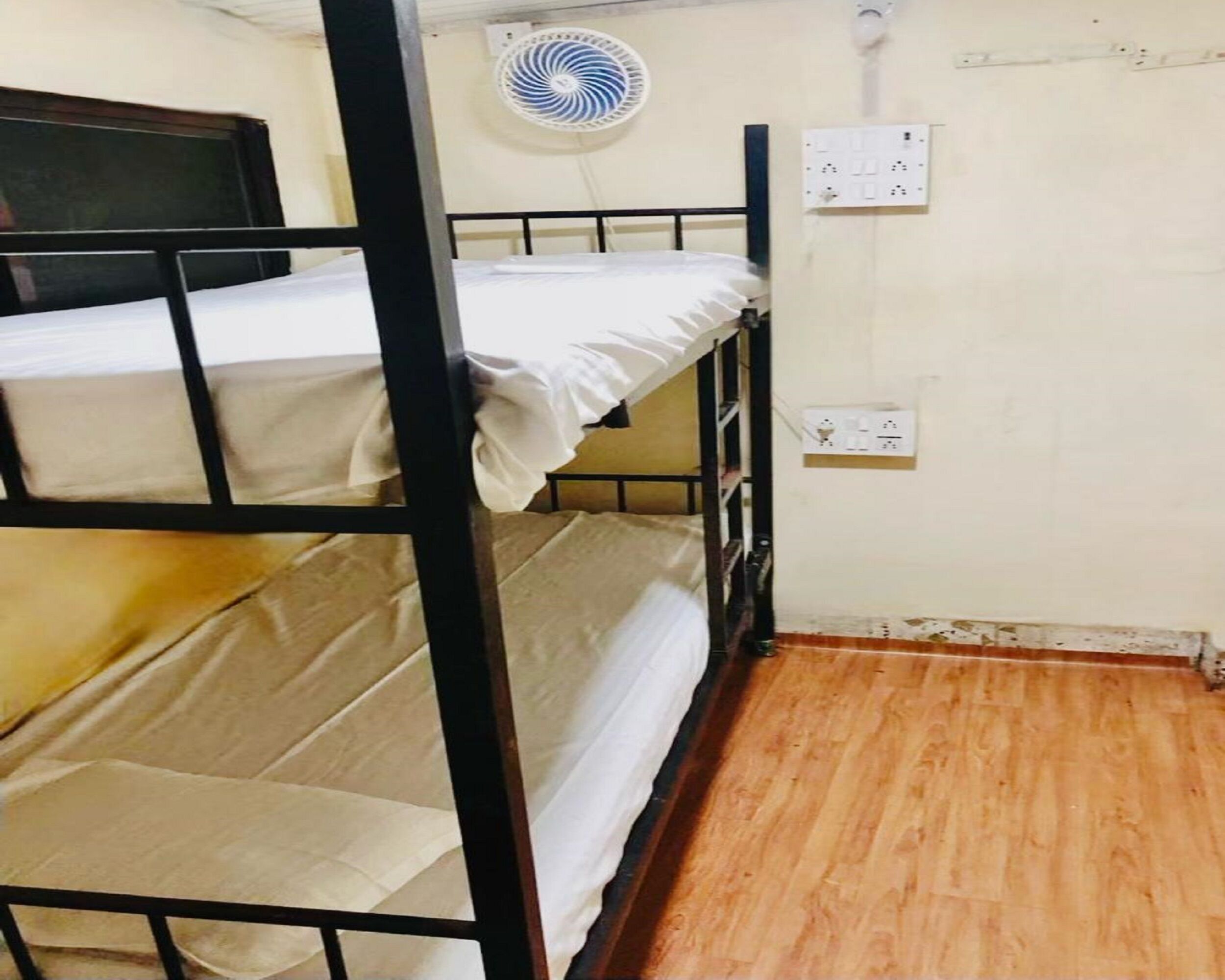 Basic Shared Dormitory