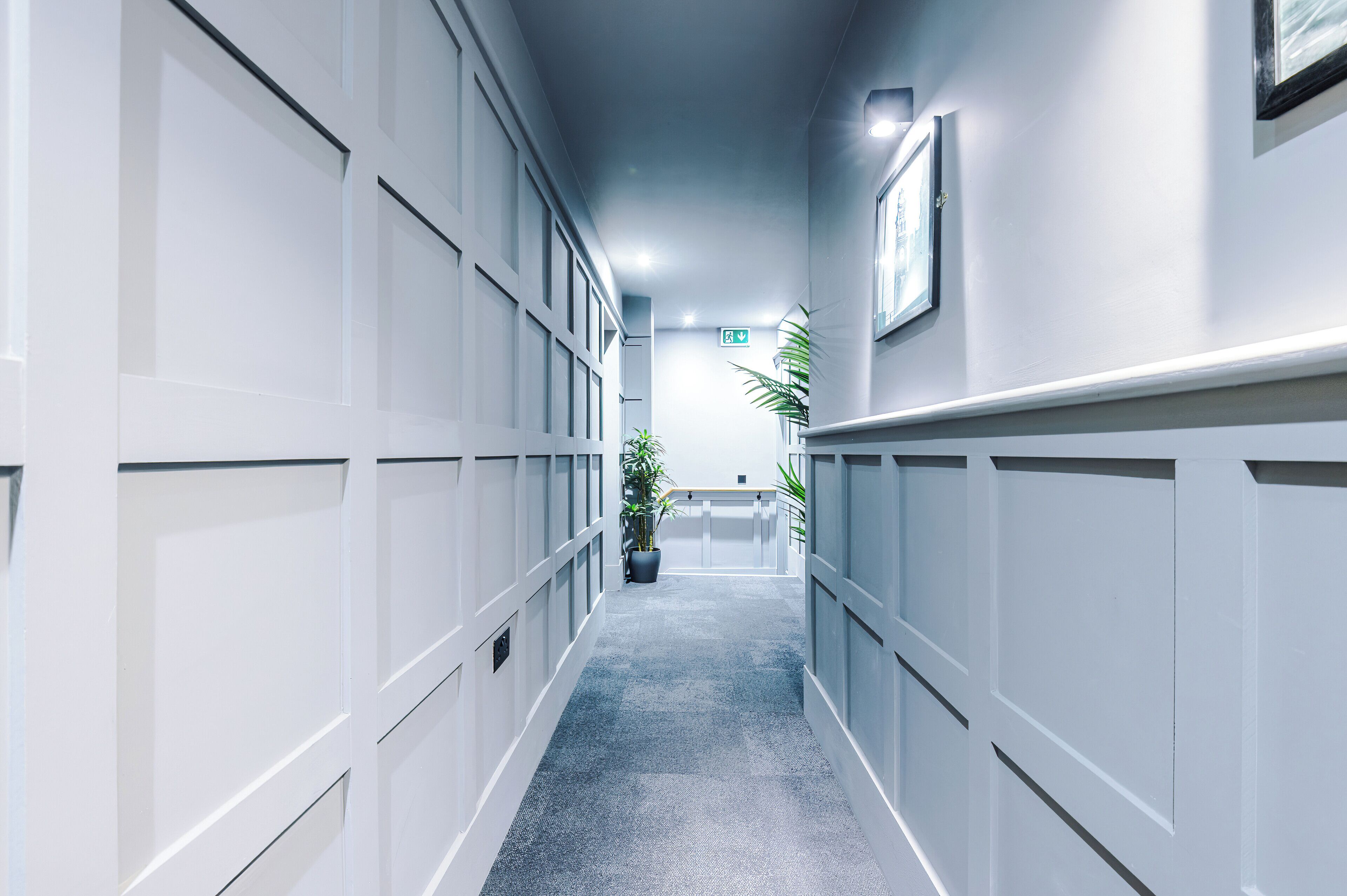 A hallway with white paneling, a potted plant, and a framed picture on the wall.