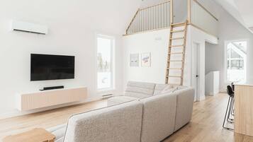 Télévision, cheminée, livres, chaîne hi-fi