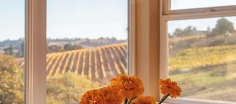 5 Acre Villa Retreat w/ Vineyard, Pool, & Spa