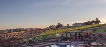 5 Acre Villa Retreat w/ Vineyard, Pool, & Spa