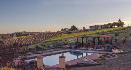 5 Acre Villa Retreat w/ Vineyard, Pool, & Spa