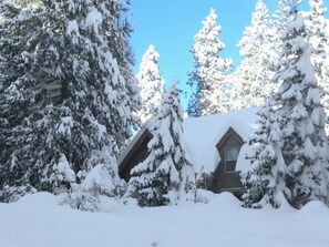 A cabin surrounded by snow-covered trees.
