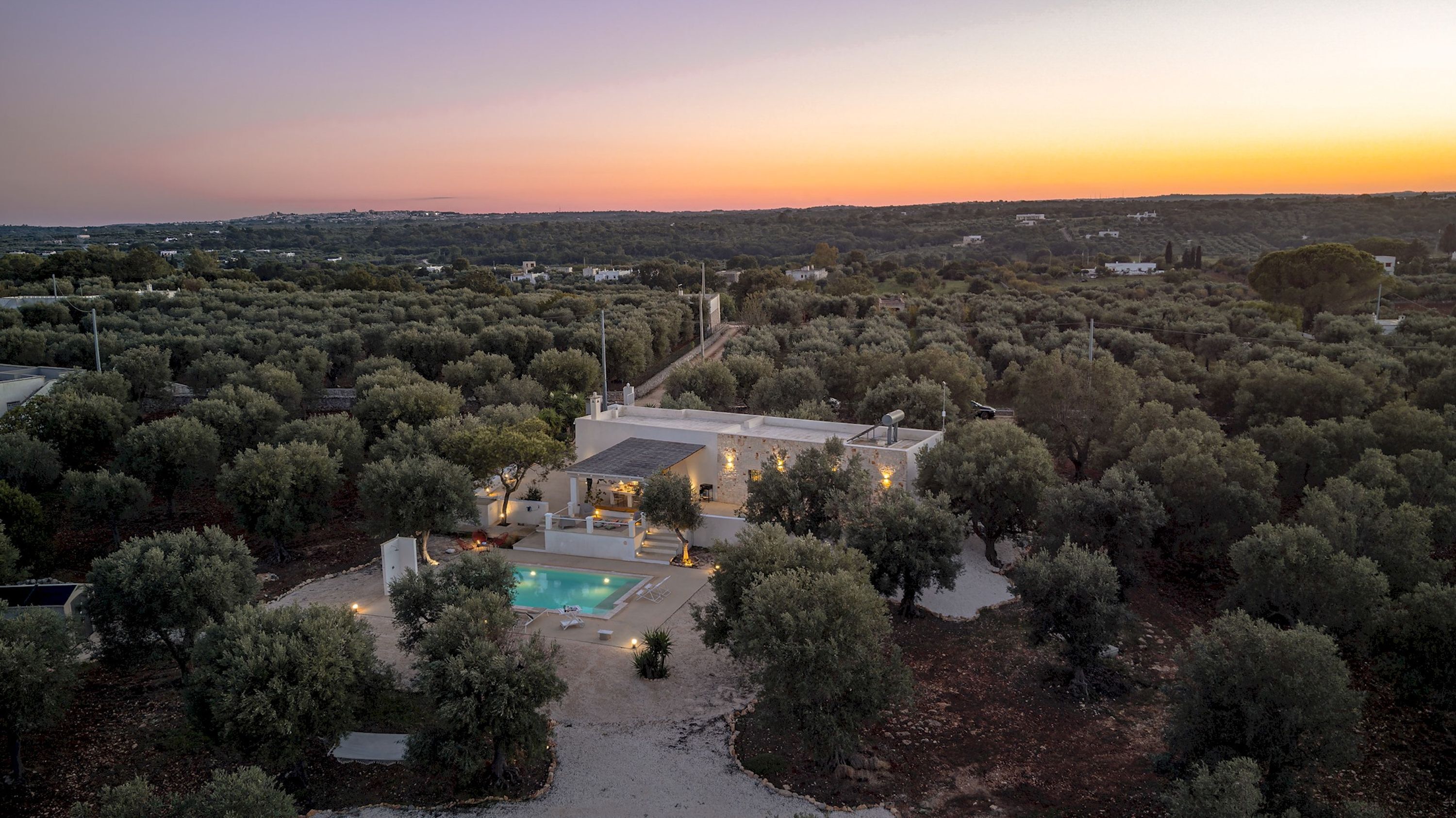 A modern villa with a swimming pool surrounded by olive trees, set against a sunset backdrop.