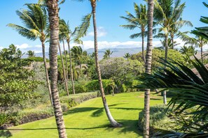 Property grounds - Beautiful and Spacious Townhouse at Mauna Lani - Close to Beach (Kamuela)