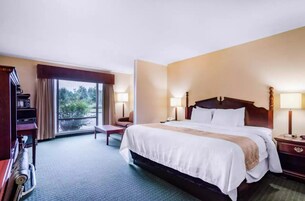 Desk, laptop workspace, iron/ironing board, free WiFi