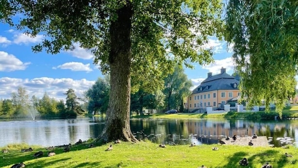 Een rustige omgeving aan het meer, met eenden op het gras, een fontein en een groot gebouw op de achtergrond.