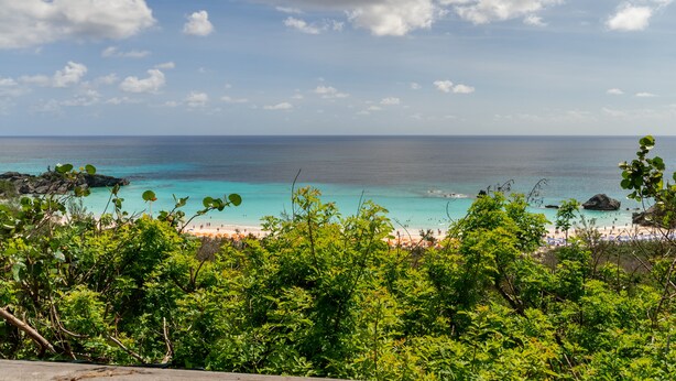 A beach view with clear turquoise water, a sandy beach, and lush greenery in the foreground. - Studio apartment above Horseshoe Bay beach (Southampton Parish)