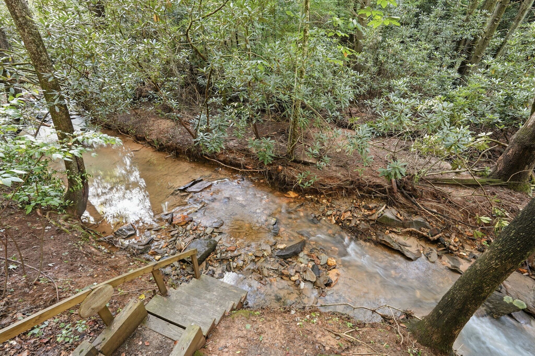 Ein bewaldetes Gebiet mit einem Bach und einer Holzbr ücke.