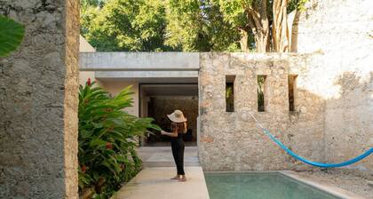 Casa Pepen - Colonial Luxury w/ out door pool in downtown Merida