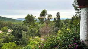 A lush garden with a variety of trees and shrubs, a wooden deck, and a view of distant hills.
