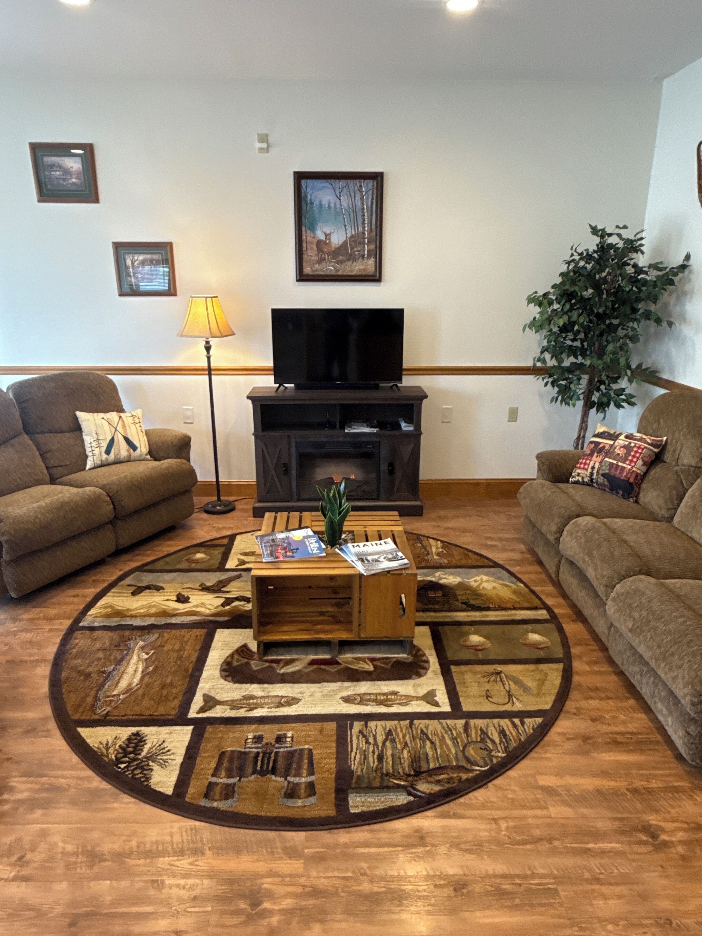 Smart TV, fireplace, books, stereo