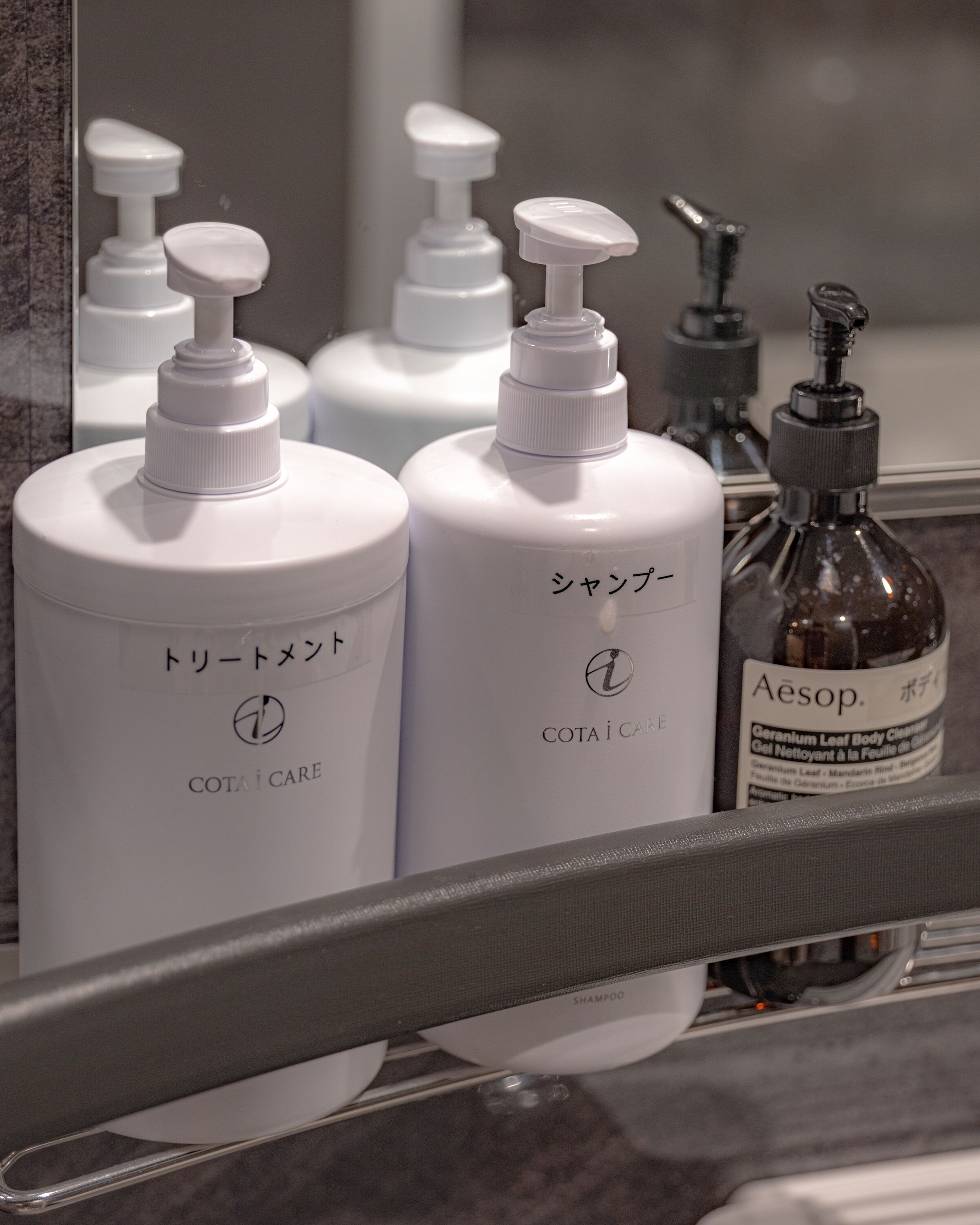 Ein Badezimmerschrank mit verschiedenen Pflegeprodukten, darunter Shampoo von Cota i Care und Duschgel von Aesop.