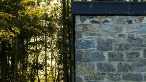 Un edificio de piedra con puerta y ventana de madera, rodeado de un bosque.