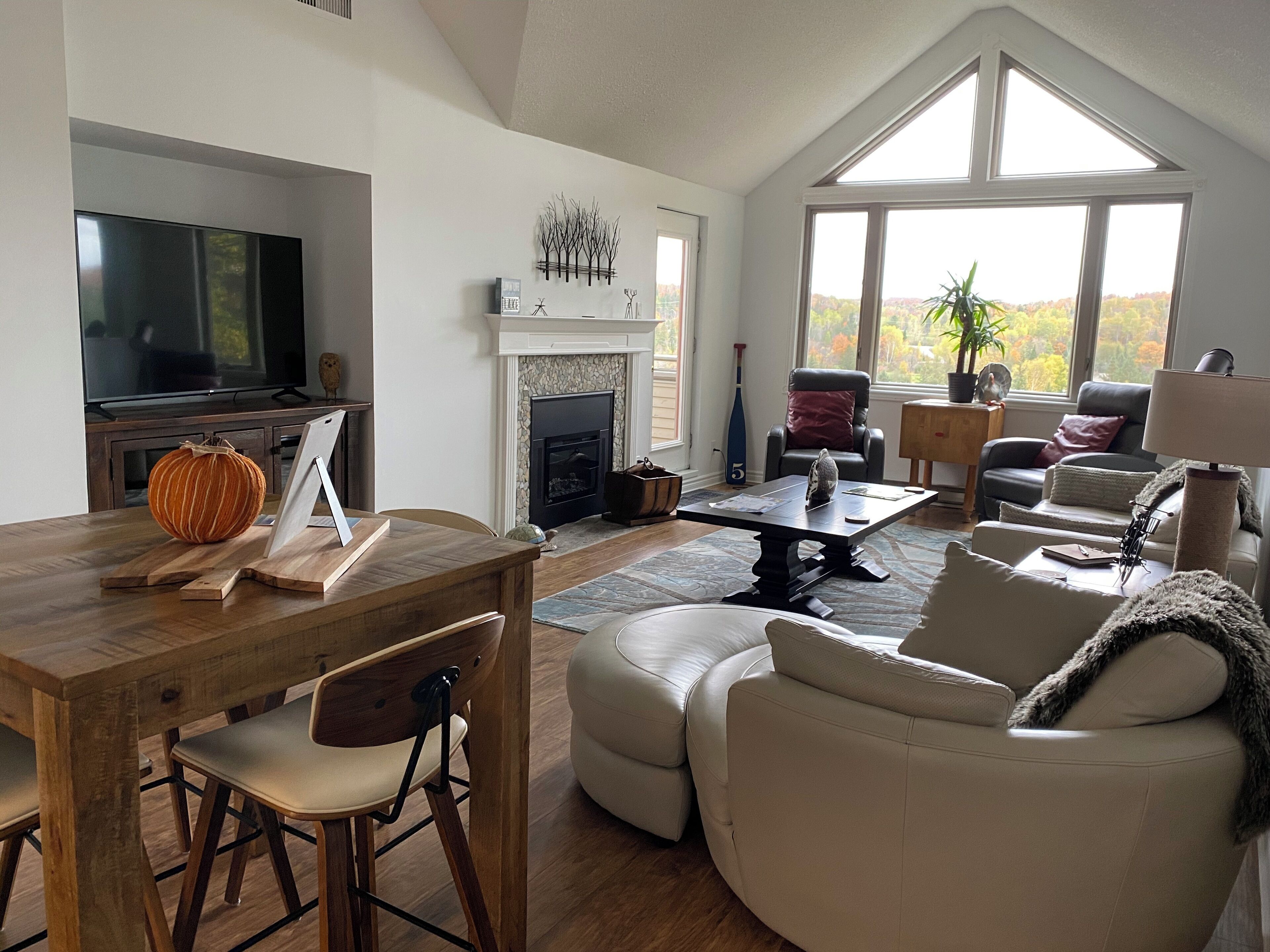 Smart TV, lareira, livros