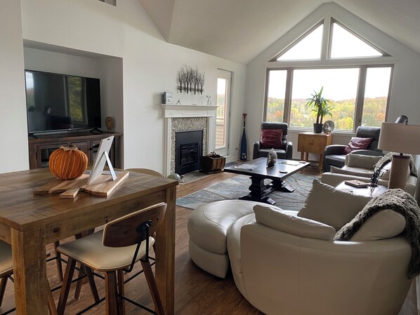 Smart TV, fireplace, books