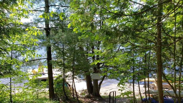 A forested path leading to a dock by a body of water.