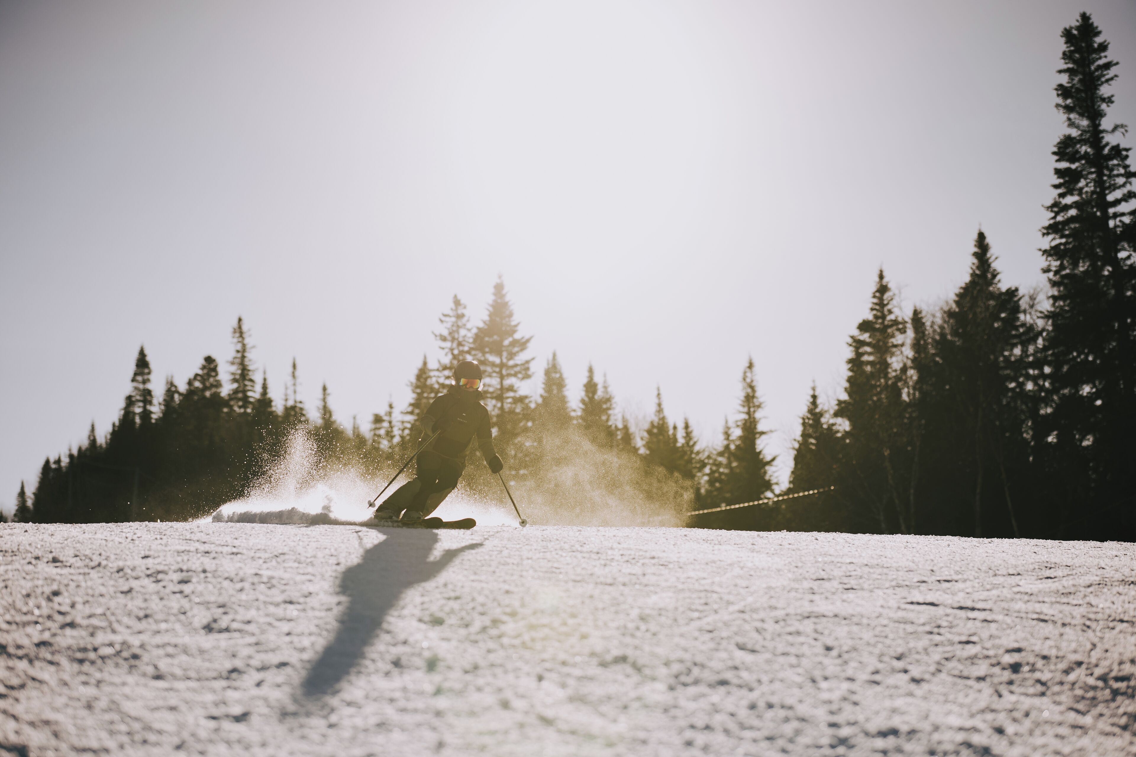 A skier on a snowy slope with trees in the background.