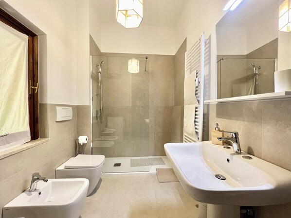 Hair dryer, bidet, towels, soap