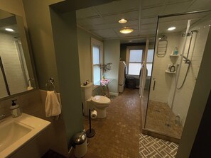 Shower, hair dryer, bidet, towels