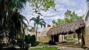 Property grounds - Casa Leon Global, 3 Domes In Mayan Jungle (Cancún)