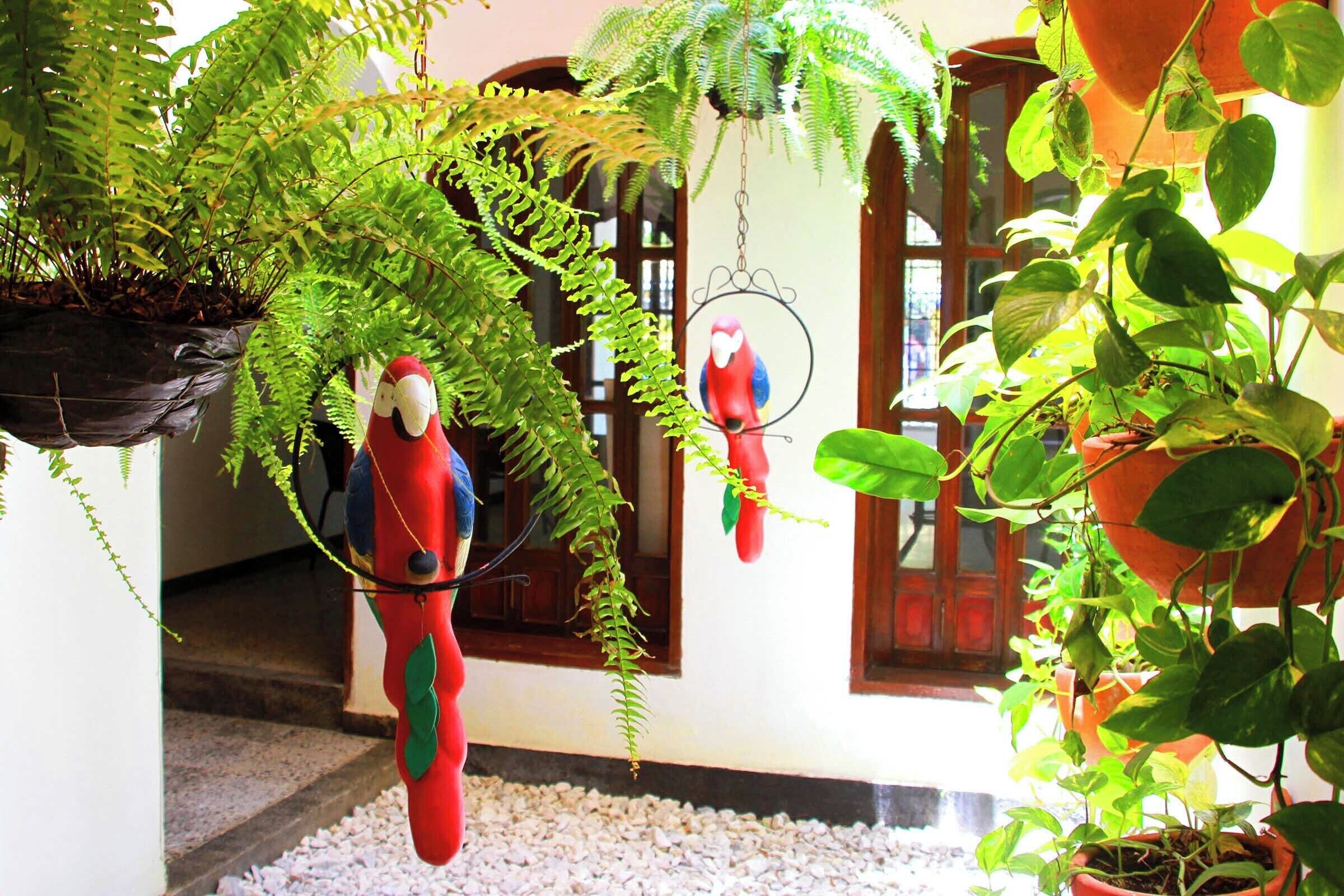 Foto - La Guaca Hostel Santa Marta