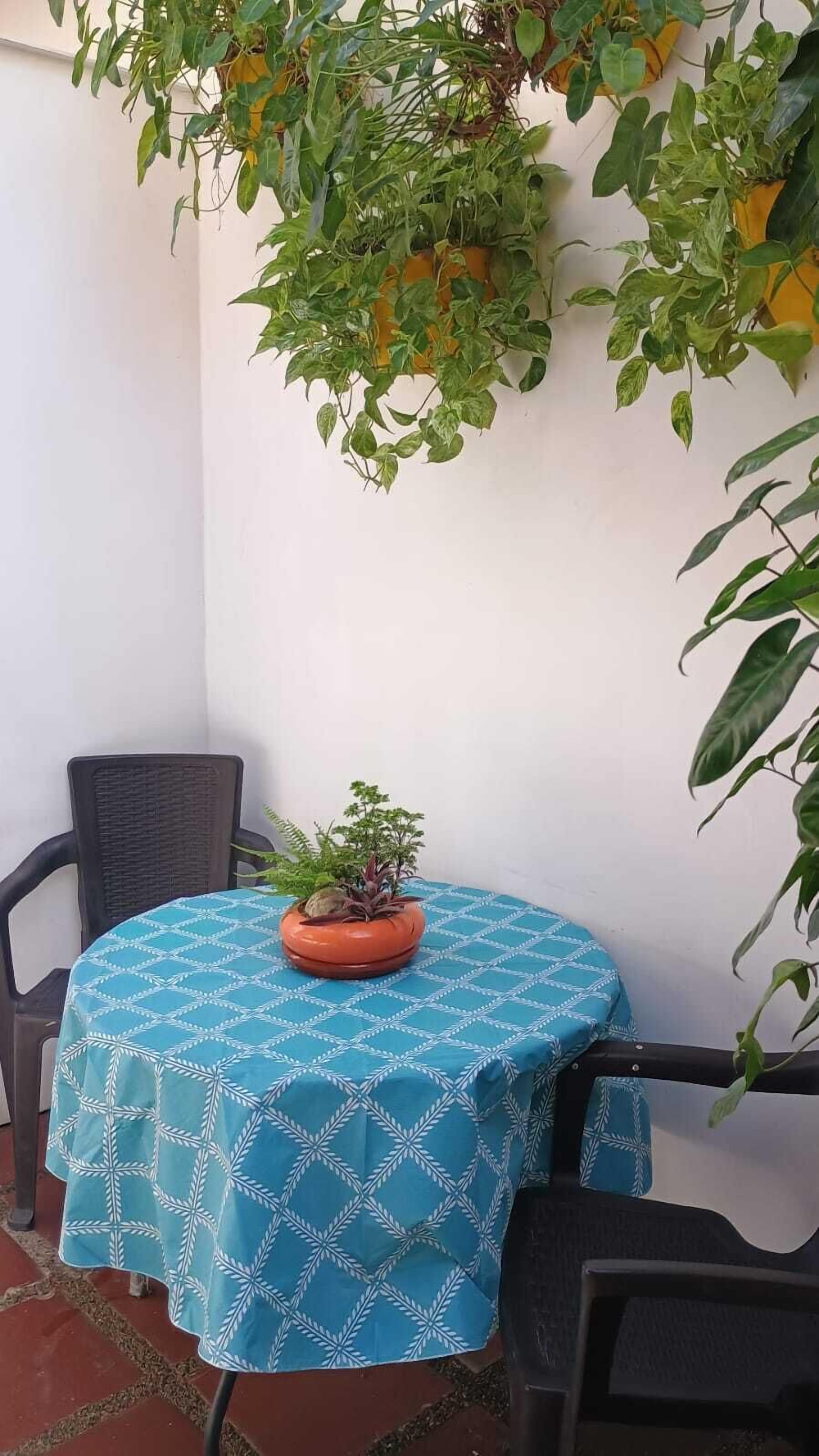 Foto - La Guaca Hostel Santa Marta