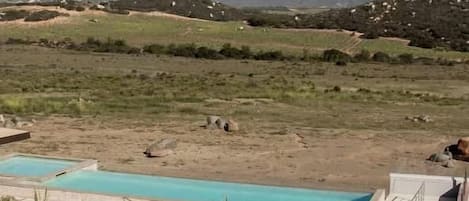 Zona de piscina con vistas a montañas, cielo despejado y jardín ajardinado.