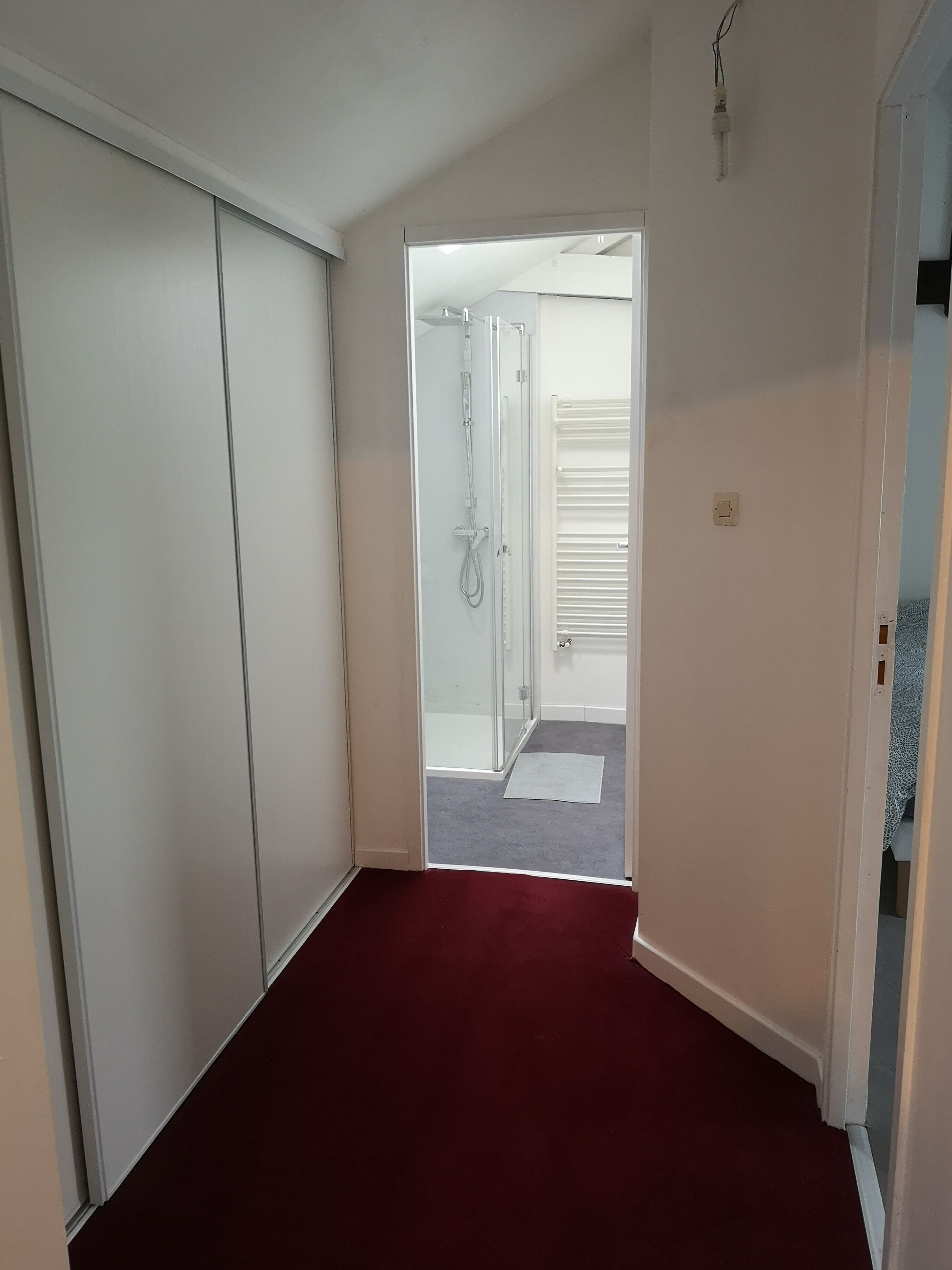 A narrow hallway with a red carpet leading to a bathroom with a shower and a towel rack.