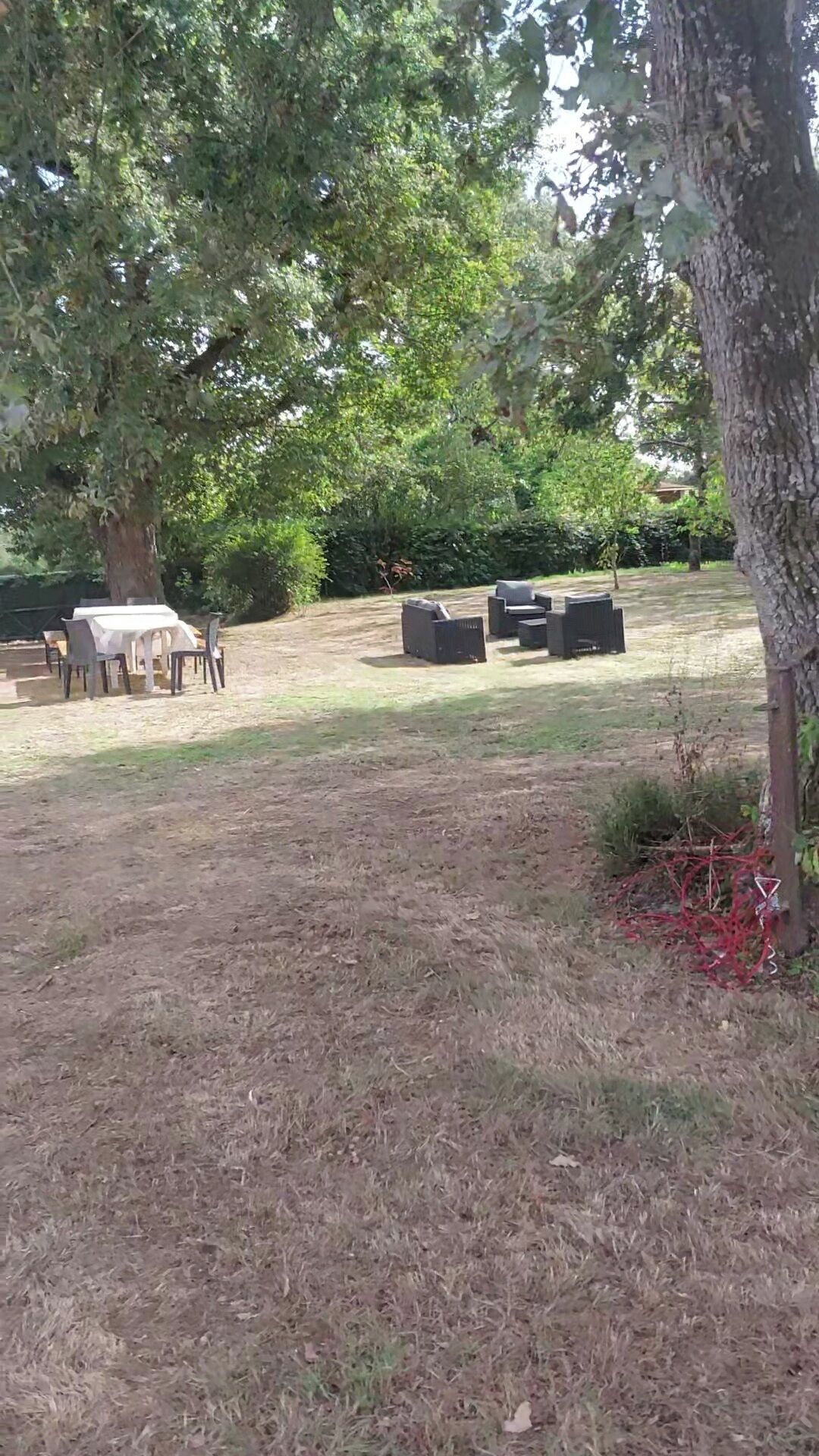An outdoor area with a table and chairs under a tree, surrounded by grass and bushes.