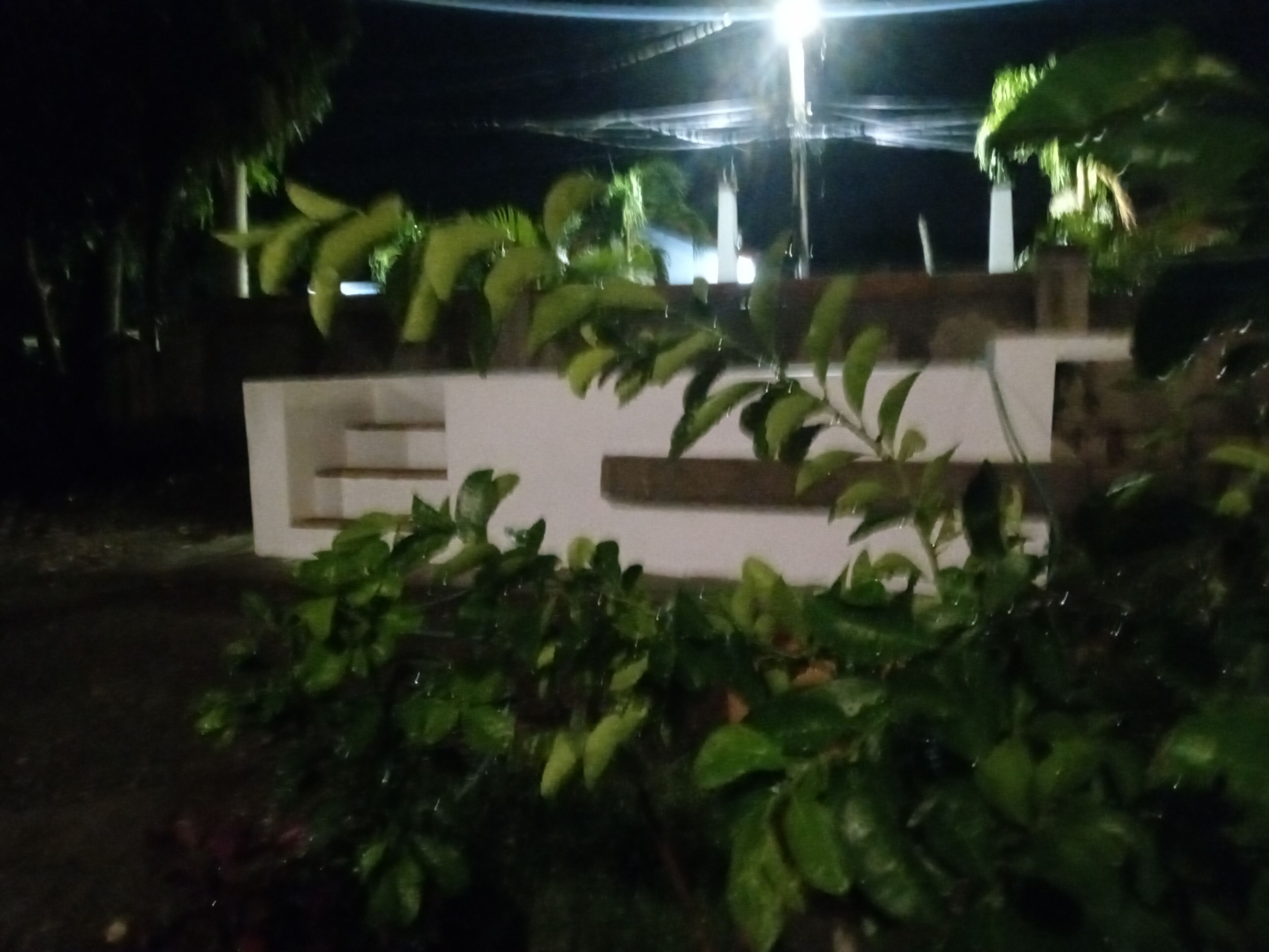 Eksteriør
