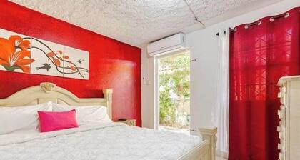 Insight Studio at Csompo Silver Manor