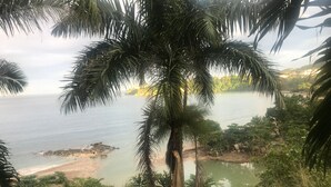A coastal landscape with a beach, a rocky outcrop, and dense greenery.